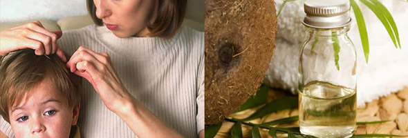 Los mejores usos del aceite de coco