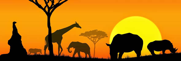 TEST: ¿Qué tanto sabes sobre estas películas grabadas en África?