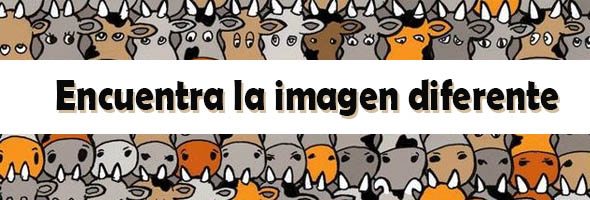 RETO VISUAL: ¿Puedes ver todas las diferencias en las fotos?